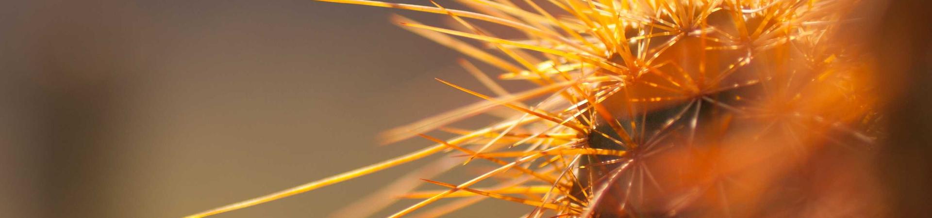 山东唯创给水设备有限公司 &middot; 丽水项目部